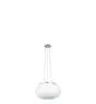 Eglo Luce Pendente Optica Acciaio Nichel Satinato | Adatto per 2x E27