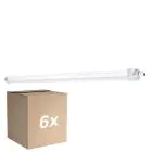 Confezione Multipack 6x Ledvance Stagna LED 33W 3960lm - 840 Bianco Freddo | 120cm