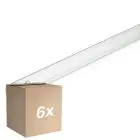 Confezione Multipack 6x Philips T8 UV - C 36W - Ultravioletto | 120cm